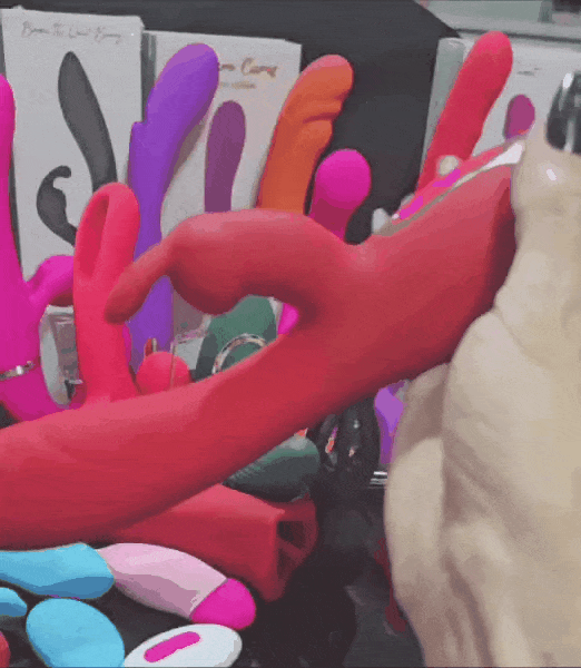 adult luxury sex toy kingdom 8887